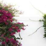 Hotel Pelagos &