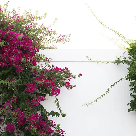 Hotel Pelagos &